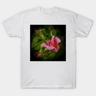 Pink Rose T-Shirt